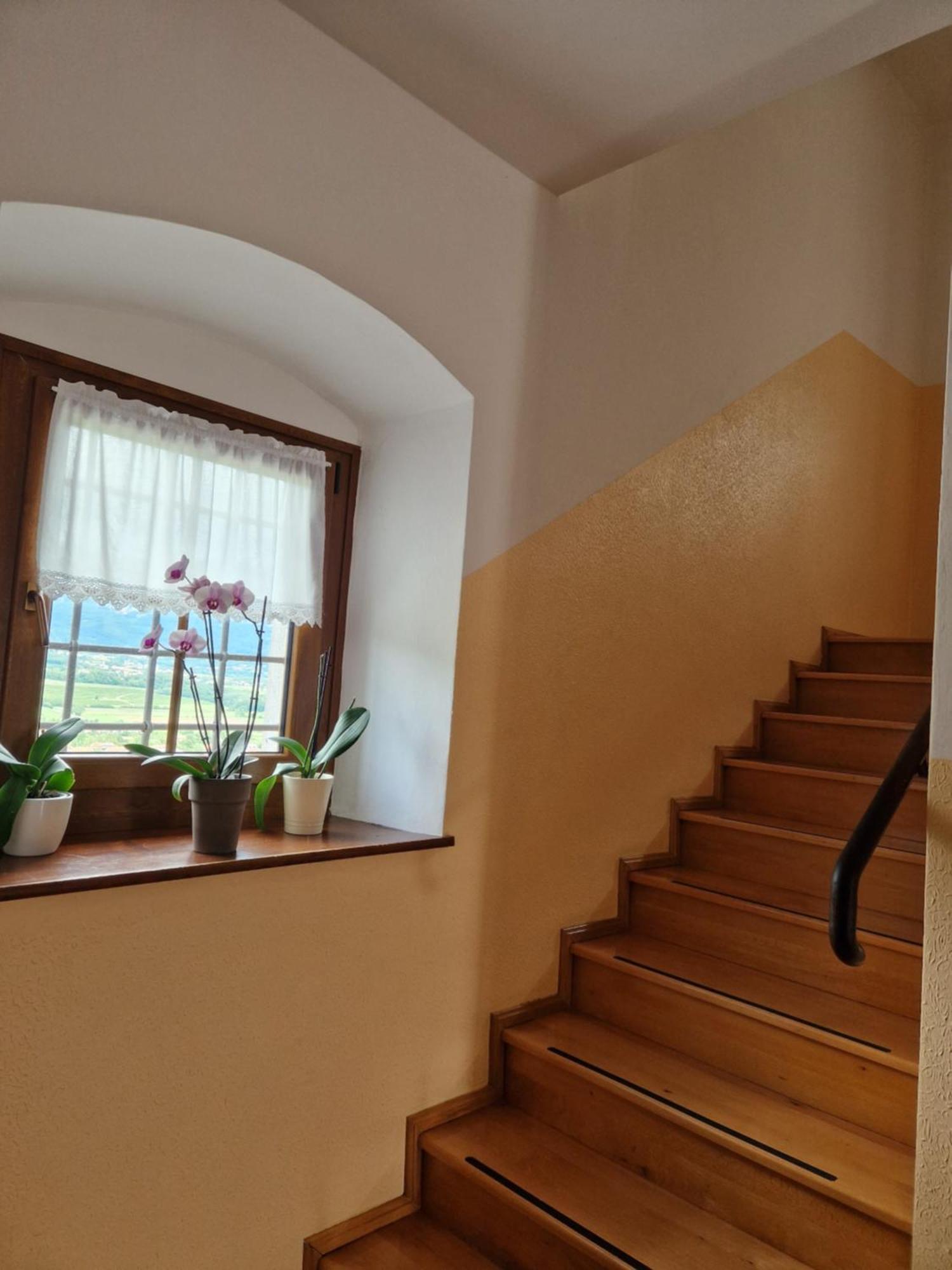 Apartma In Soba Vipavski Kriz Ajdovščina Esterno foto