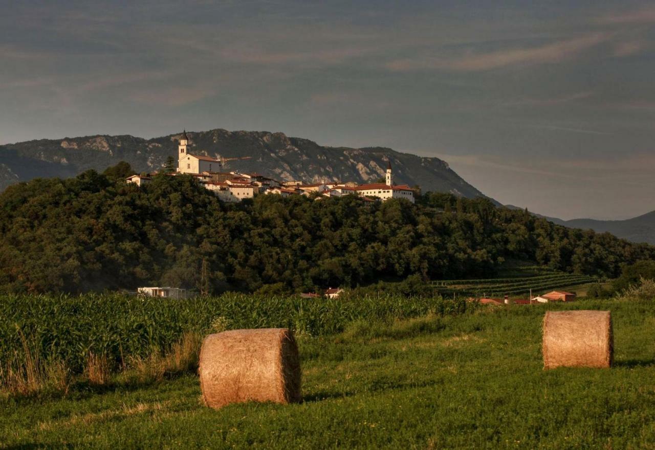 Apartma In Soba Vipavski Kriz Ajdovščina Esterno foto
